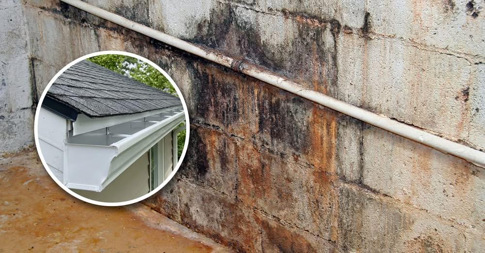 Stop Basement Mold & Water Damage With Proper Gutters