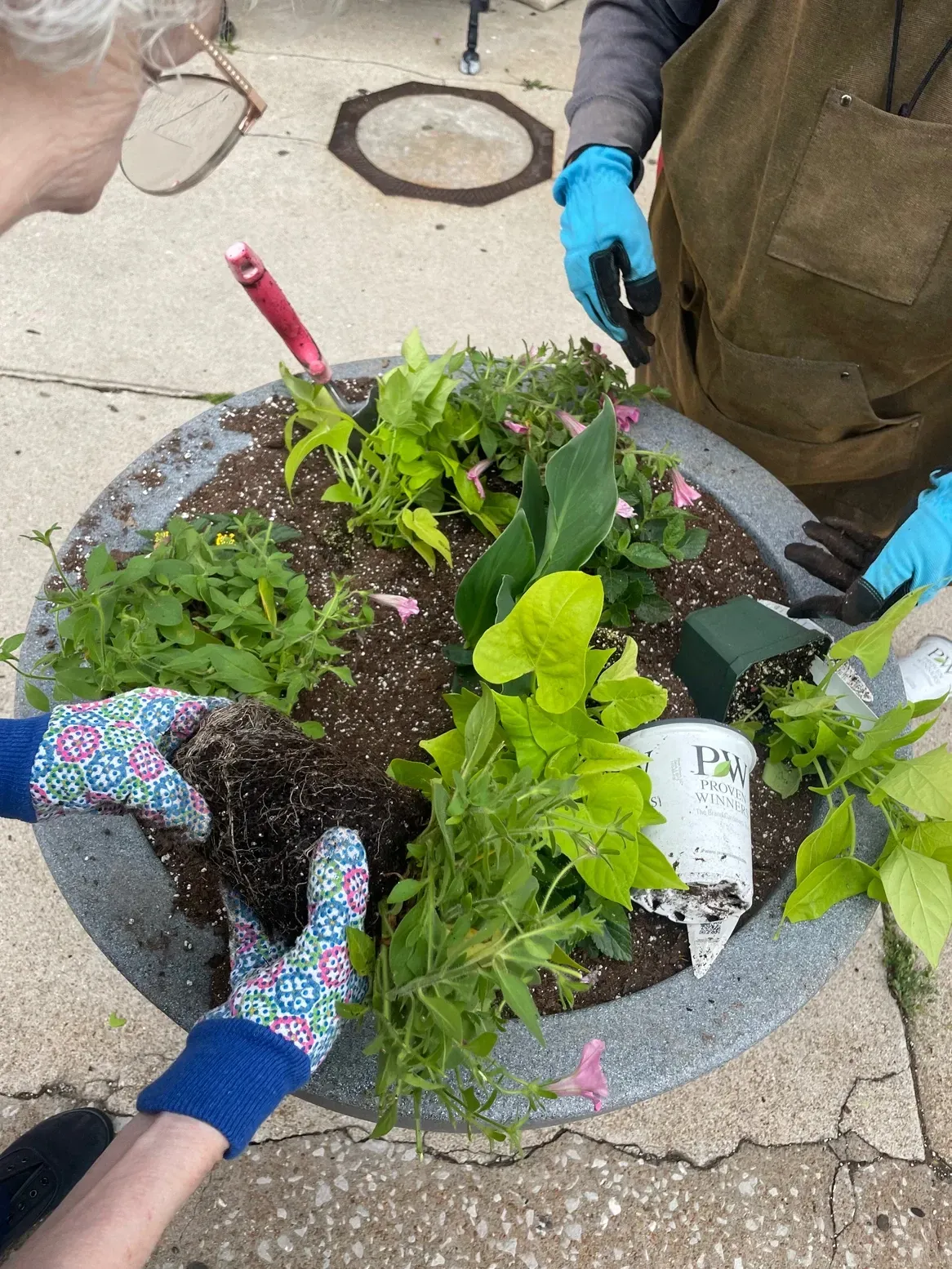 Spring Planting Day
