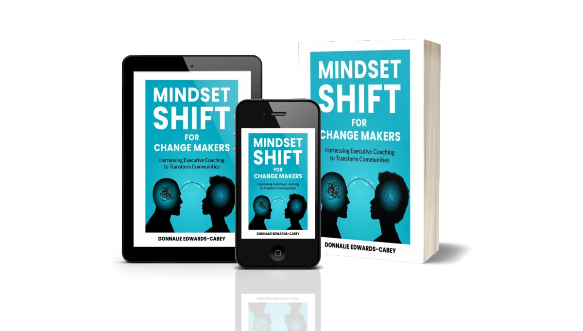 Mindset Shift Book Cover