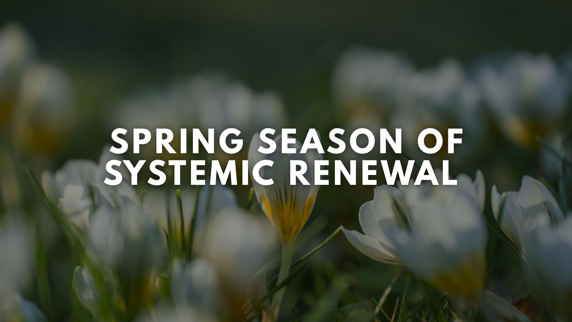 Spring Season of Systemic Renewal