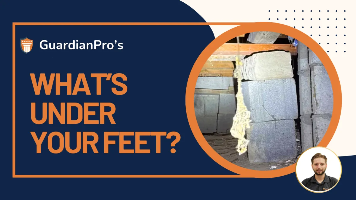blog Post cover whats under your feet