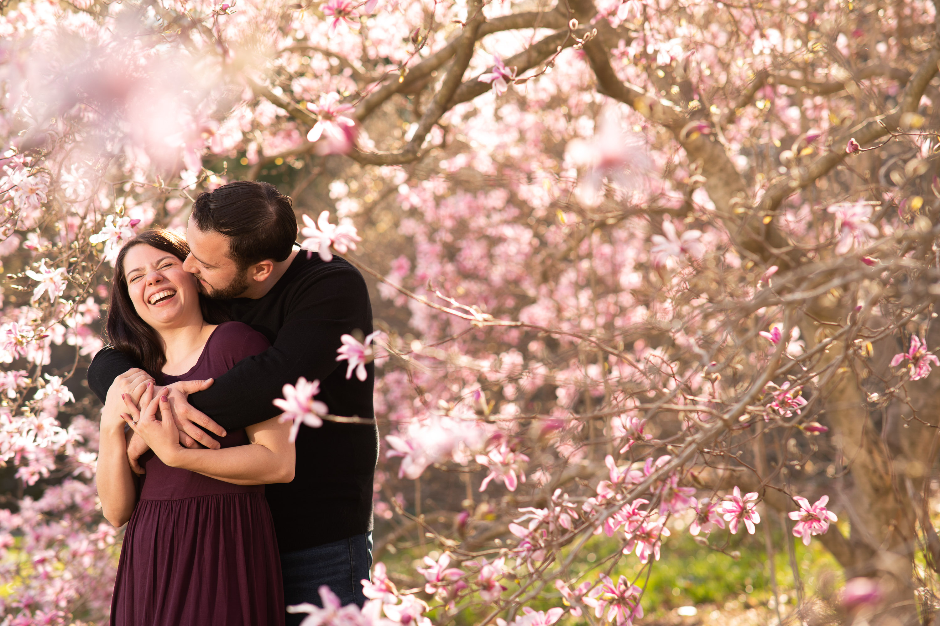 spring engagement photos under pink blossoms at Dallas Arboretum photographed by Dallas engagement photographer Lotus Wedding Photography