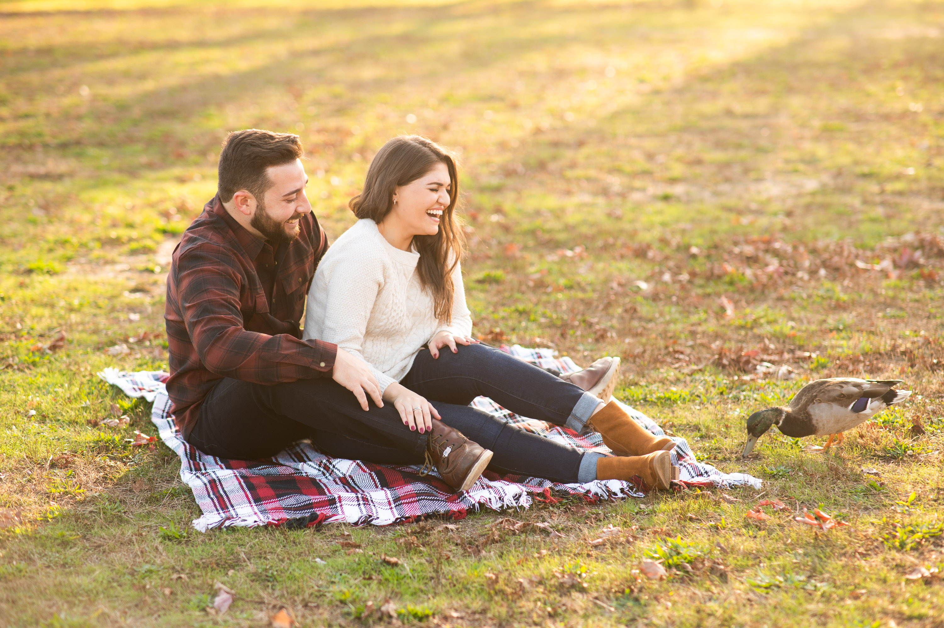 couple laughing during picnic engagement photos with ducks at White Rock Lake Dallas photographed by Dallas engagement photographer Lotus Wedding Photography