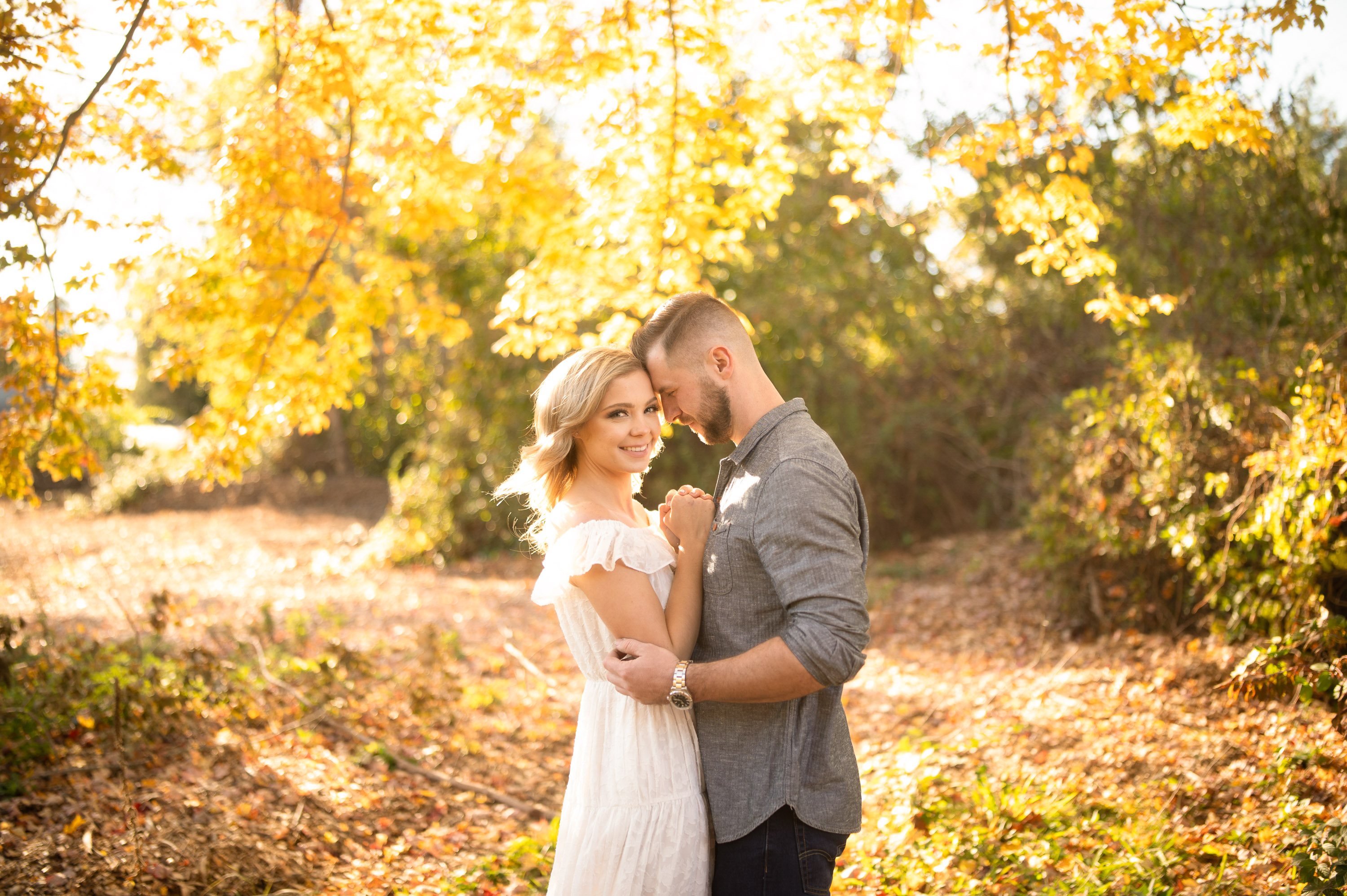 romantic fall engagement photos under golden leaves at White Rock Lake Dallas photographed by Dallas engagement photographer Lotus Wedding Photography