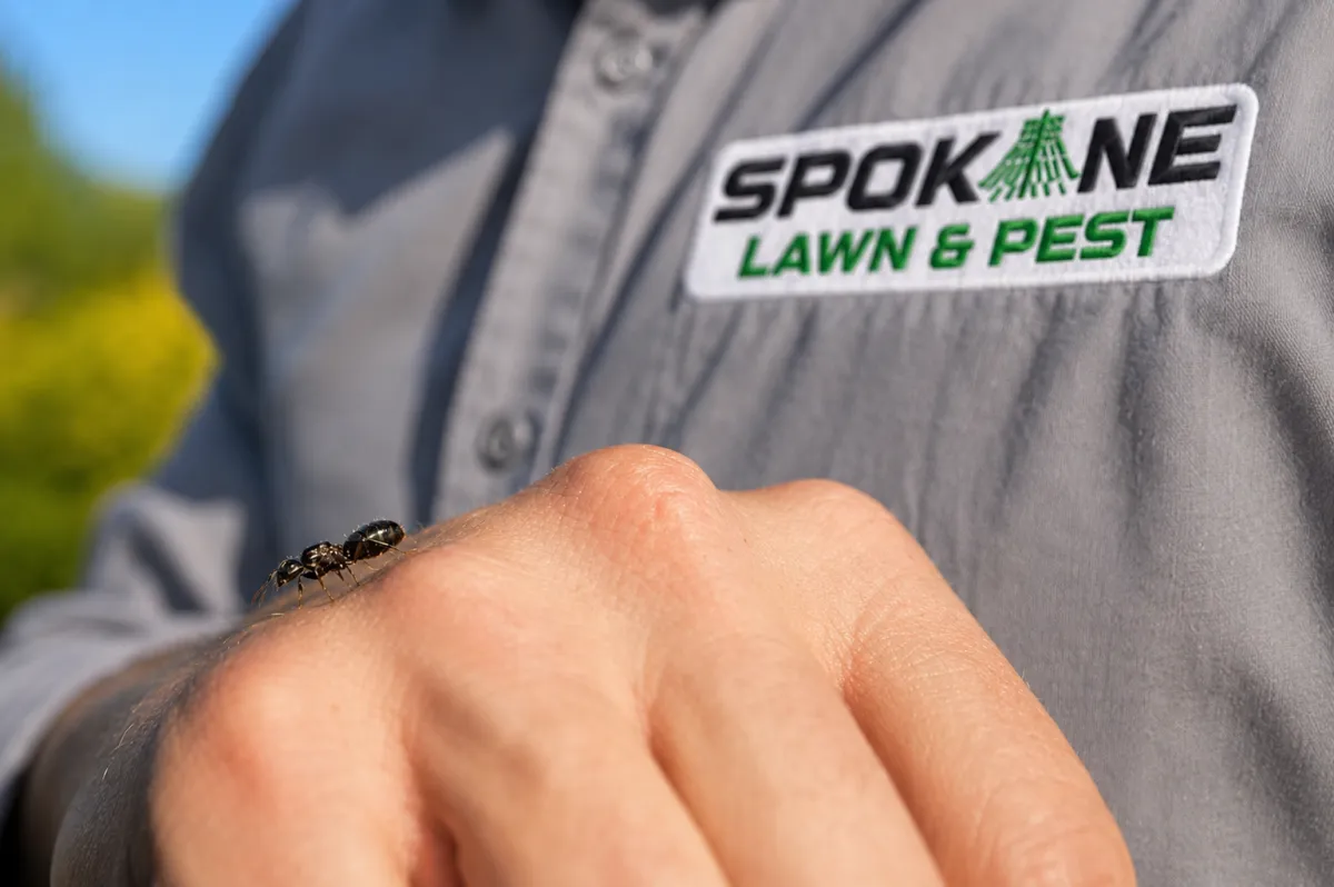 Pest Control