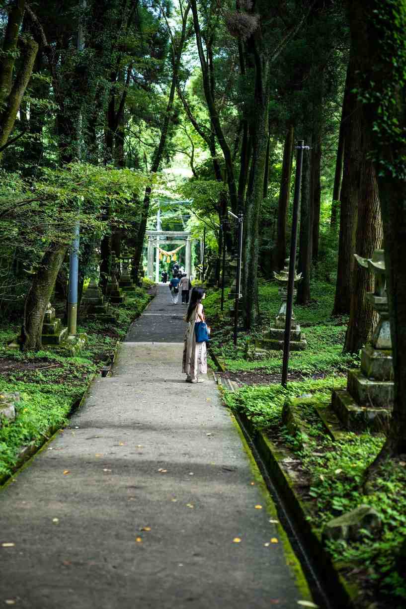 Woman pausing on a peaceful tree-lined path, representing the journey through life transitions with hypnotherapy and coaching support.