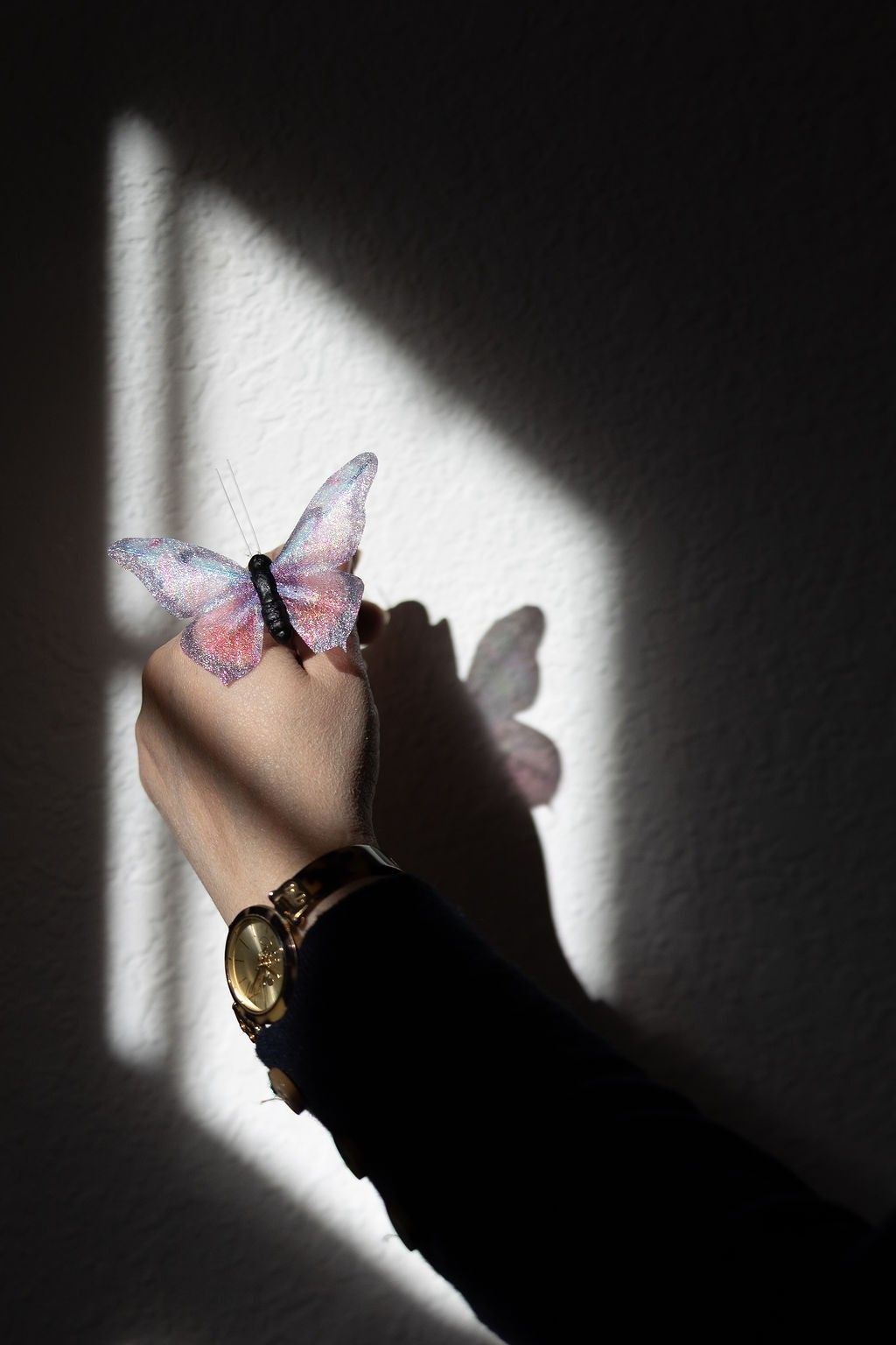 Hand holding a delicate butterfly in a beam of window light, casting a shadow on the wall, symbolizing personal transformation through hypnotherapy.