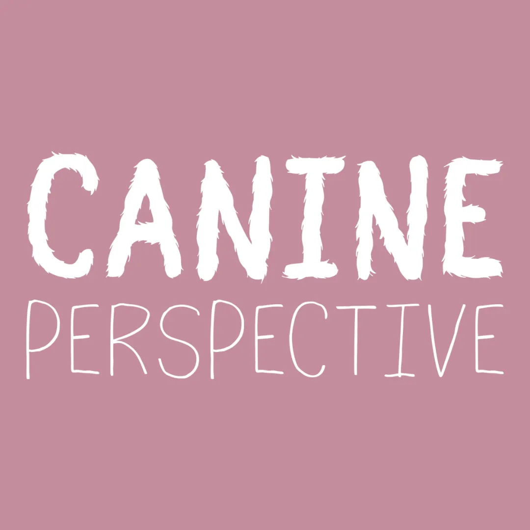 Canine Perspective CIC