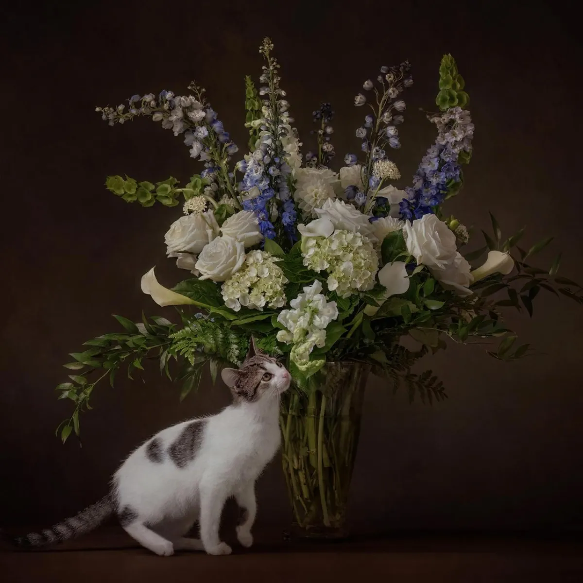 portrait of a kitten with vase of flowers by Alana Lee