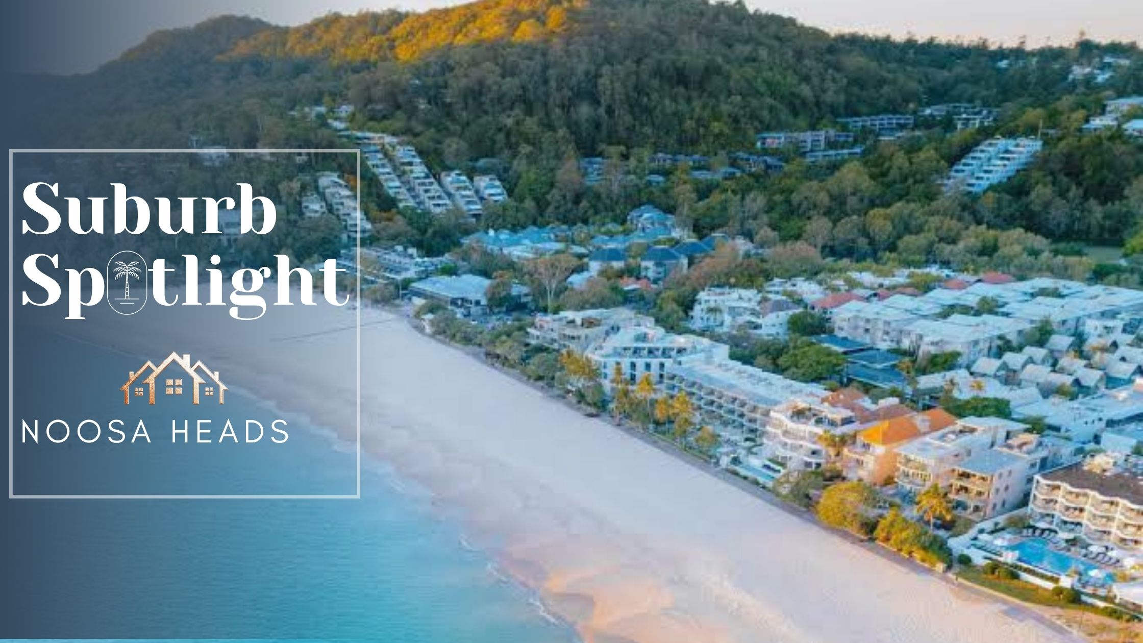 Noosa Heads suburb focus 
