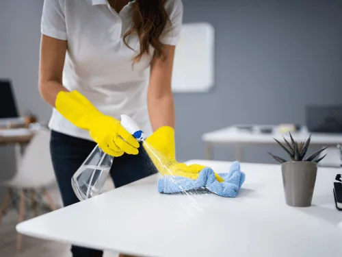 Janitorial Services