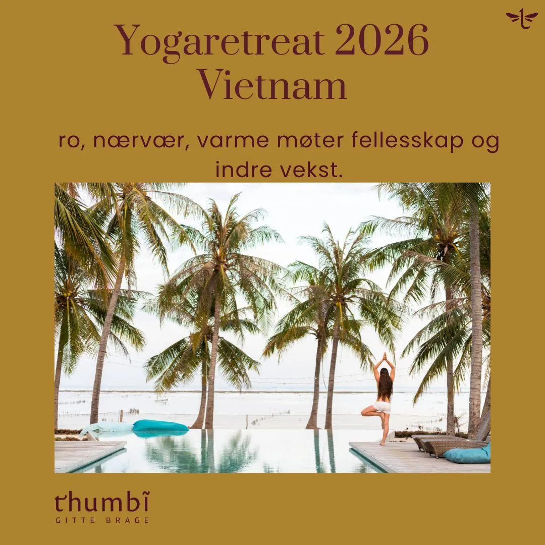 Yogaretreat Vietnam - helhetlig, yin og yang yoga, indre utvikling