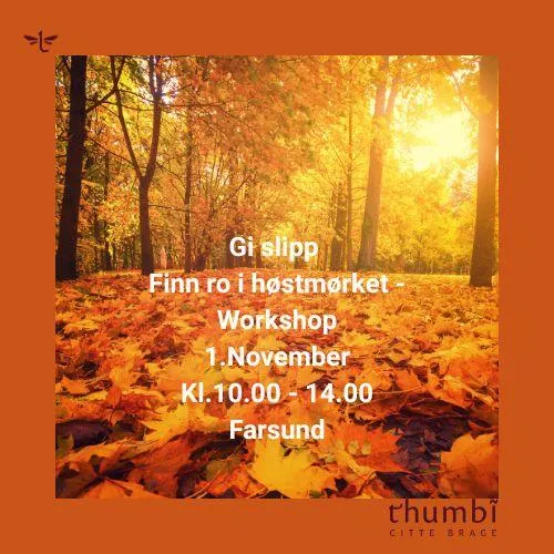 Workshop for Metall element, Yin og yang yoga, pilates, pust, avspenning