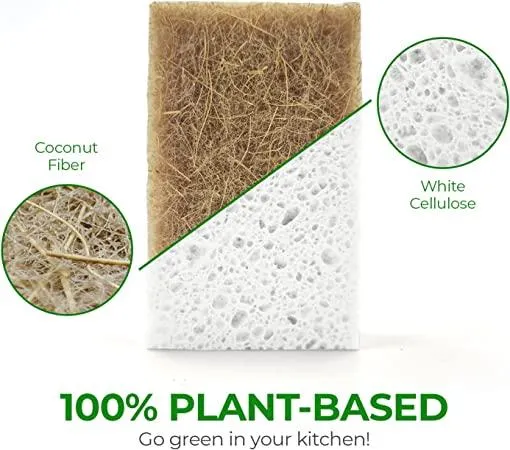 Plant based sponges- Berkshire Valley Inn