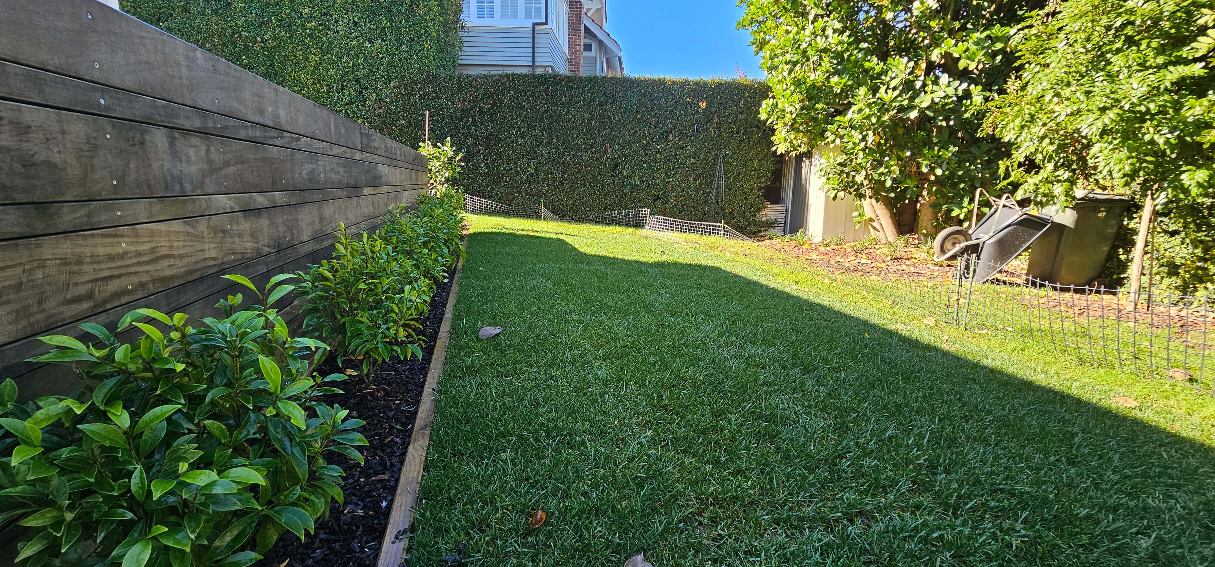 fresh lawn and garden edging Auckland residential garden maintenance