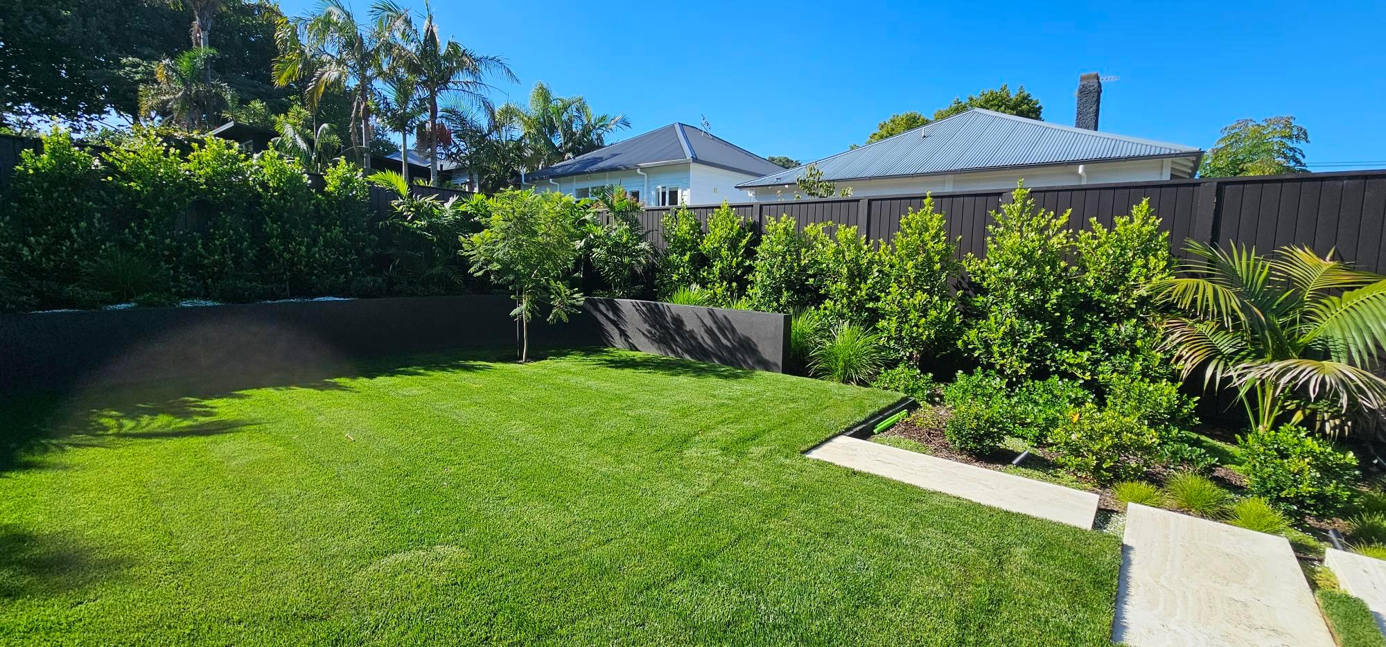 backyard landscaping with lawn and planting Auckland outdoor space