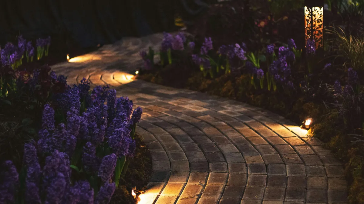 Outdoor lighting design illuminating a garden at night in Stourport on Severn