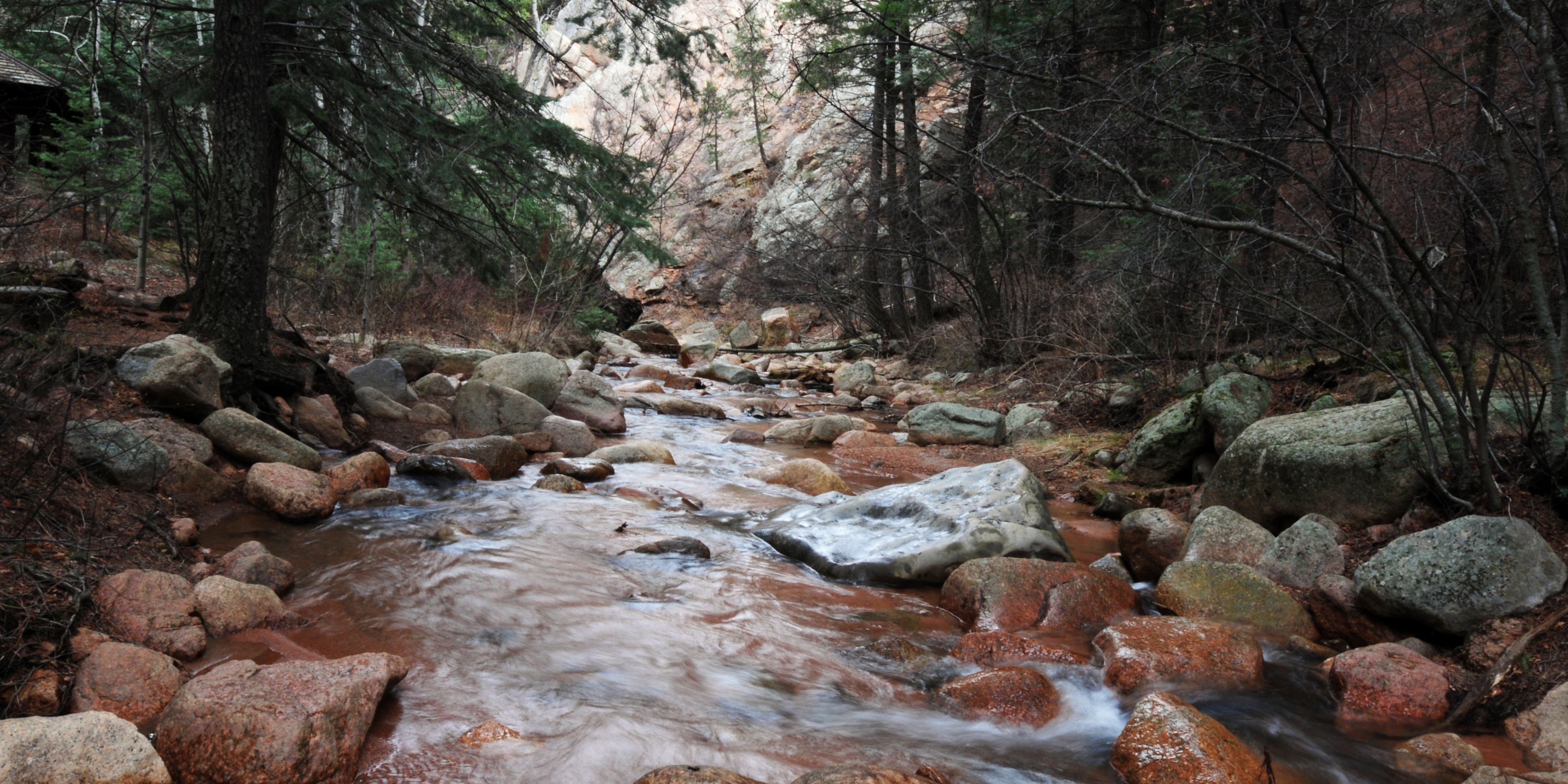 Why Buyers Love Black Forest Colorado Springs
