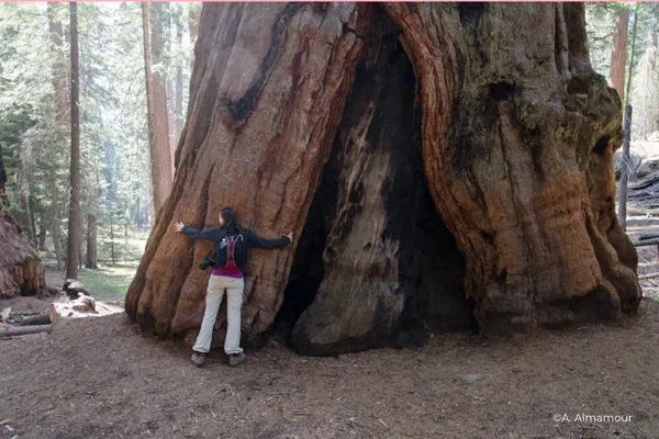 Connecting With the Earth