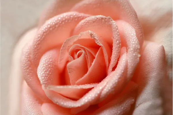 How to Know if You’re an Empath and How to Function as One