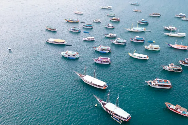 Lost in a Sea of Entrepreneurs