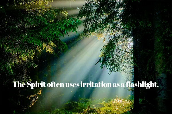 Sunbeams shining through trees. Words: The Spirit often uses irritation as a flashlight.