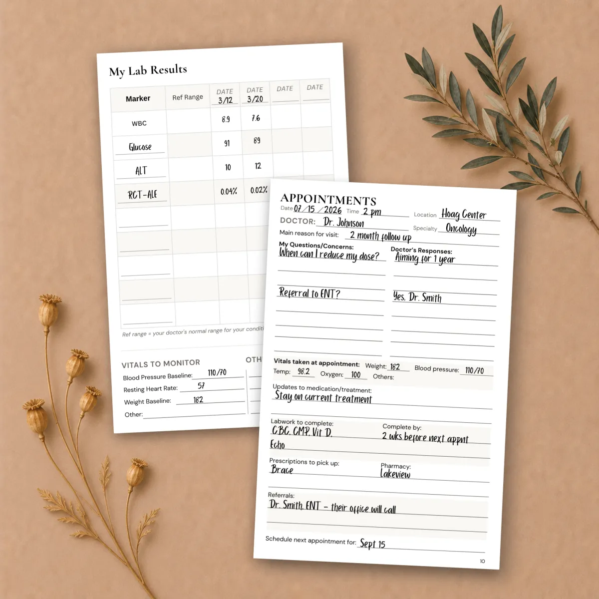 Printable lab tracker and doctor appointment pages from a Christian chronic illness planner