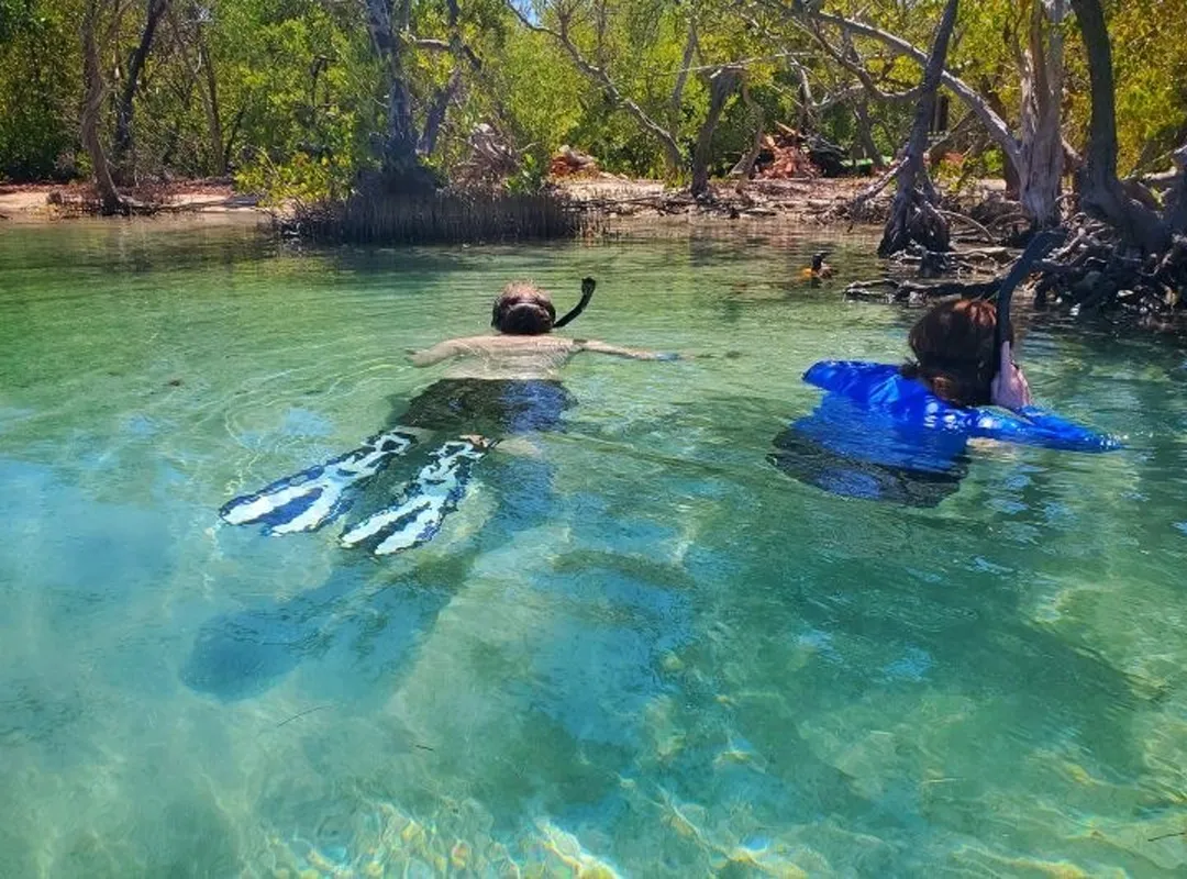 Private La Parguera Bioluminiscense Swim Boat experience, Encanto Puerto Rico, Jaded Realty Group, Puerto Rico, shorefront villas, vacation rentals,  exclusive travel club, San Juan, Rincon, Manati