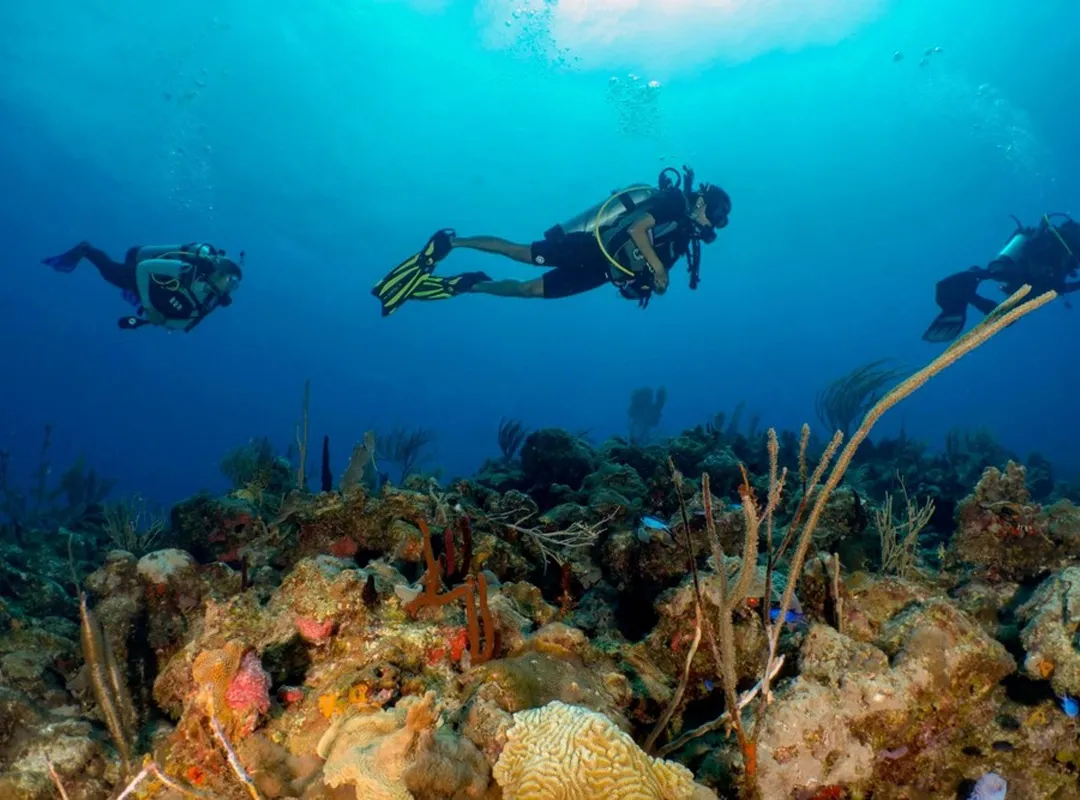 Culebra Reef Dive Excursion, Encanto Puerto Rico, Jaded Realty Group, Puerto Rico, shorefront villas, vacation rentals,  exclusive travel club, San Juan, Rincon, Manati