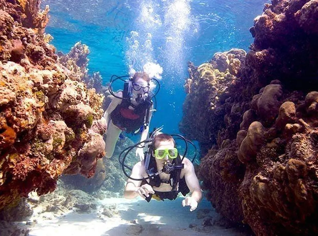 Beginner Scuba Diving Tour 1.5 hours, Encanto Puerto Rico, Jaded Realty Group, Puerto Rico, shorefront villas, vacation rentals,  exclusive travel club, San Juan, Rincon, Manati