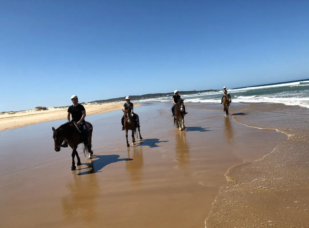 1-Hour Beach Horseback Ride, Encanto Puerto Rico, Jaded Realty Group, Puerto Rico, shorefront villas, vacation rentals,  exclusive travel club, San Juan, Rincon, Manati