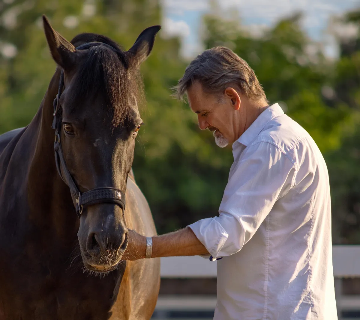 Chris — Founder, Mind Your Horse