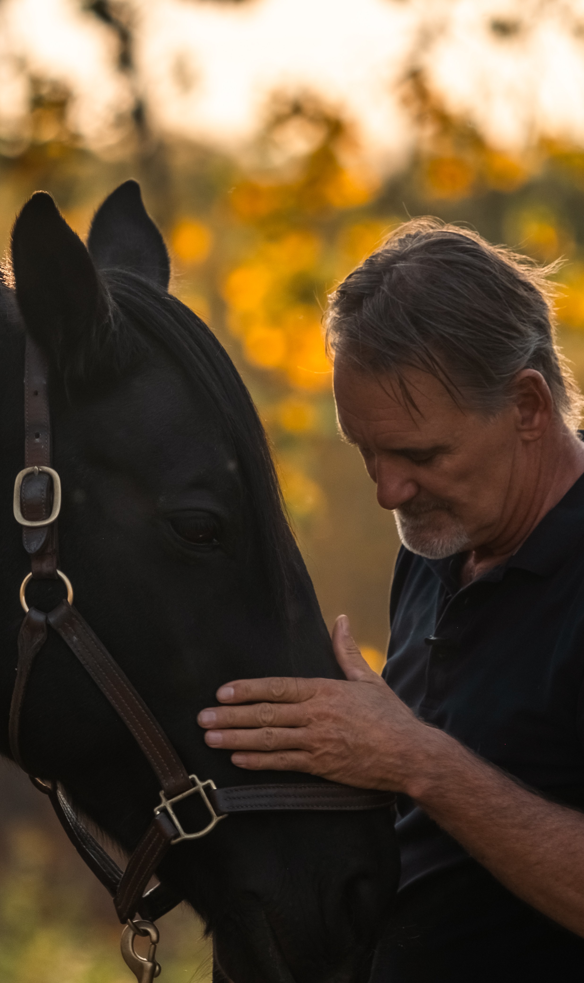A serene, mature woman in equestrian attire gently touching the forehead of a calm bay horse in a sunlit meadow, both eyes closed, radiating mutual trust and inner peace. The background is softly blurred, evoking tranquility and focus.