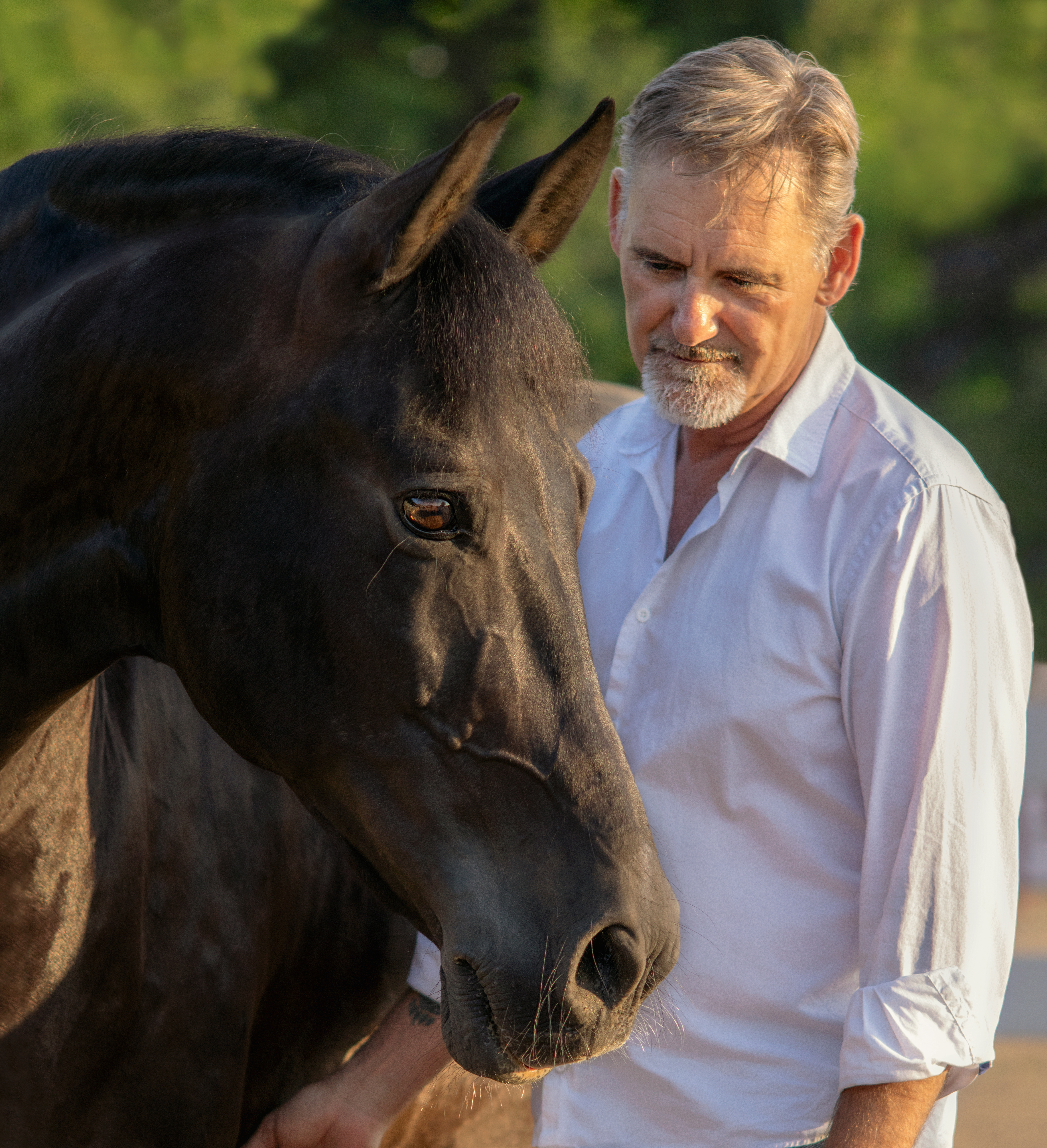 A thoughtful, middle-aged woman with gentle eyes and silver-streaked hair, wearing a forest green scarf, stands beside a chestnut horse in a misty paddock. Her calm, wise demeanor and the horse’s attentive posture evoke trust and expertise.