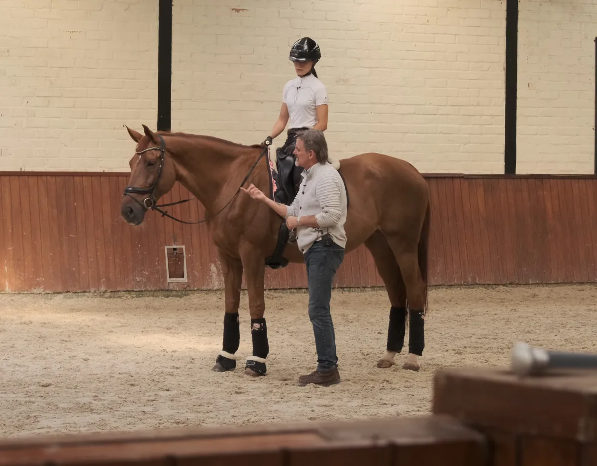 A diverse group of equestrians, both men and women, gathered in a sun-dappled stable yard, sharing a moment of camaraderie. They wear riding attire and are engaged in animated discussion, with horses calmly grazing in the background. The scene conveys warmth, expertise, and a sense of belonging.