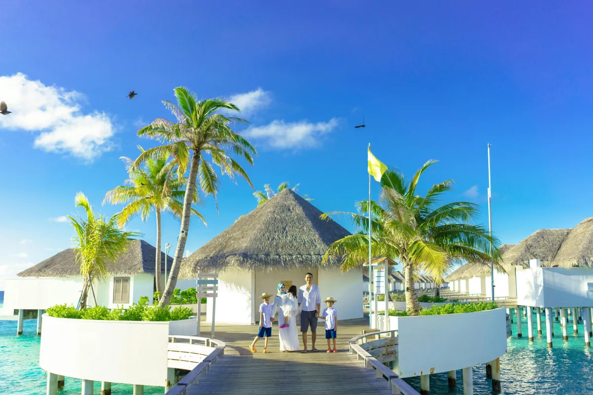Photo by Asad Photo Maldives from Pexels: https://www.pexels.com/photo/green-palm-trees-and-white-gazebo-3155726/