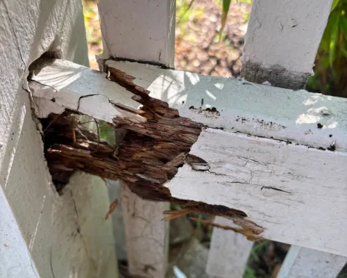 Rotted Wood Replacement in Chester County