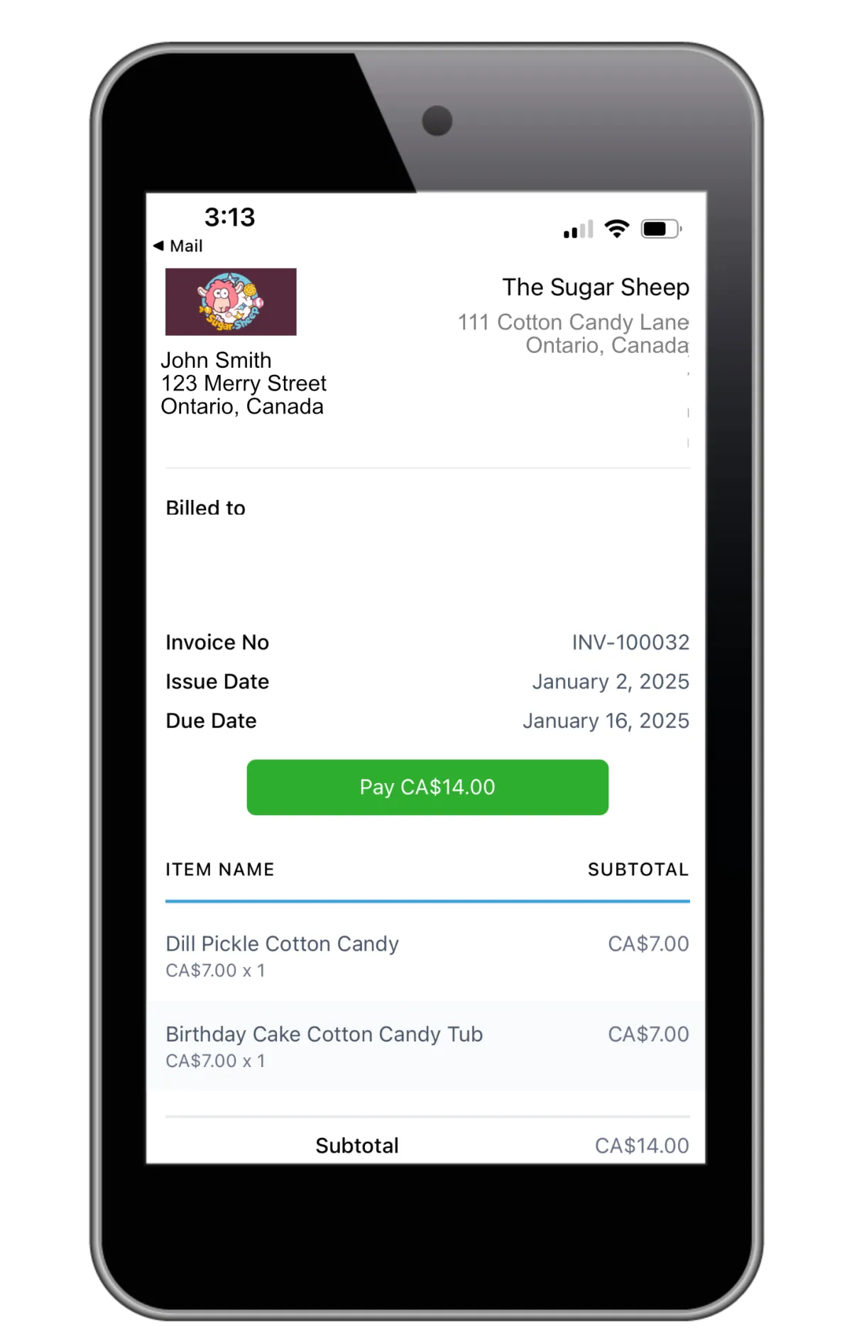 Mobile POS invoice example on smartphone screen with branded invoice and credit card payment processing for small business.