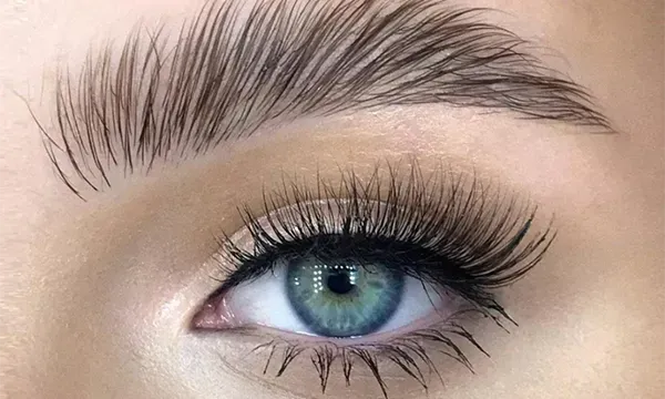 Lash Lift & Brow Lamination Near Me | Treuvis Clinton Township