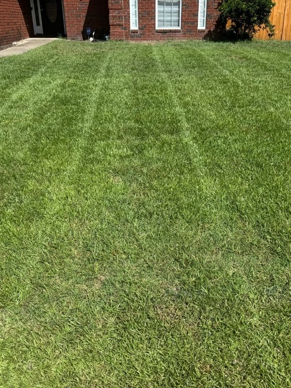 aeration and overseeding in richmond hill, ga