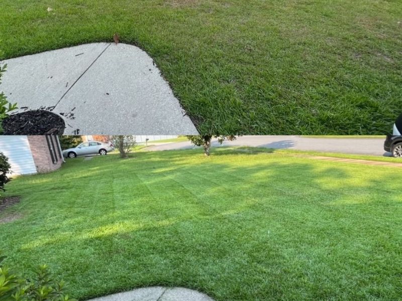 Fertilization and weed control in Richmond Hill, GA