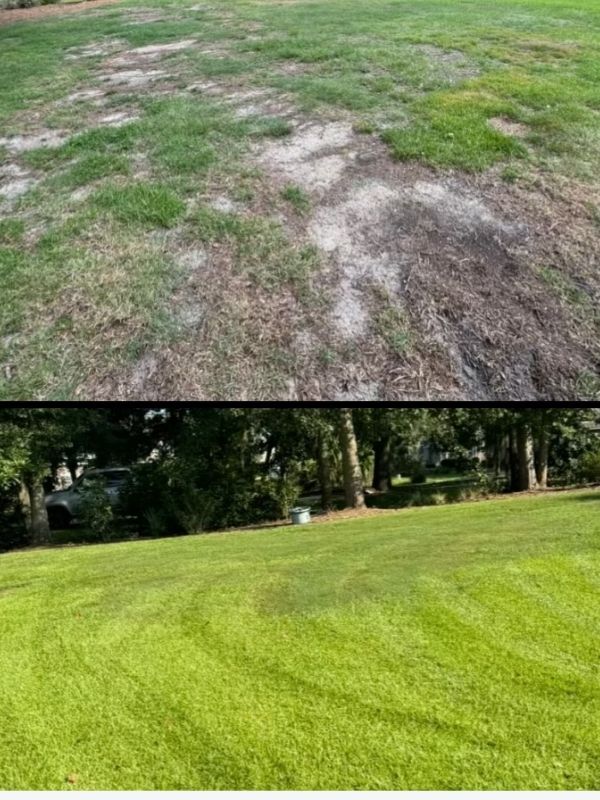 Lawn Fertilization & Weed Control Service in frankfort, ky