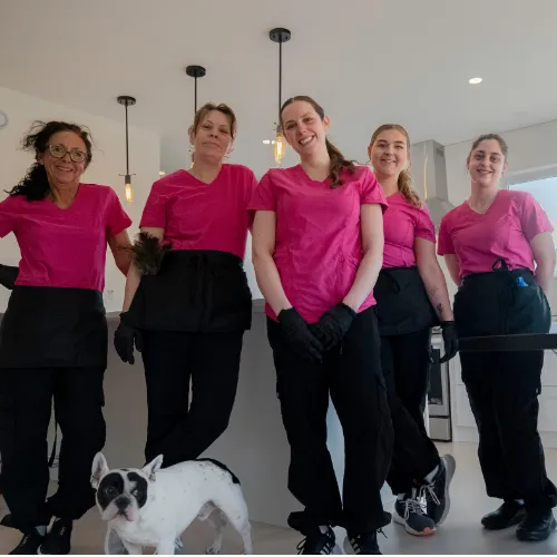house cleaning team photo at house cleaning in Rothesay nb