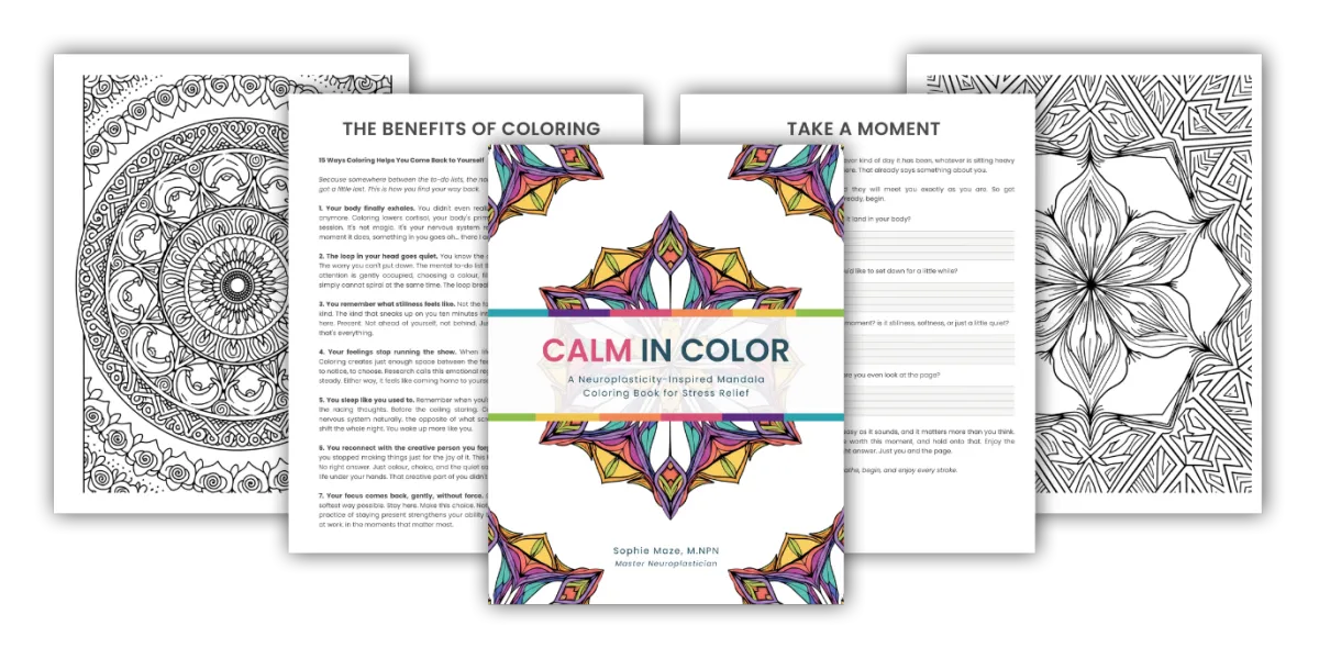 Grit Builder six-week neuroplasticity workbook pages with emotional awareness tools and somatic exercises for women 40 plus