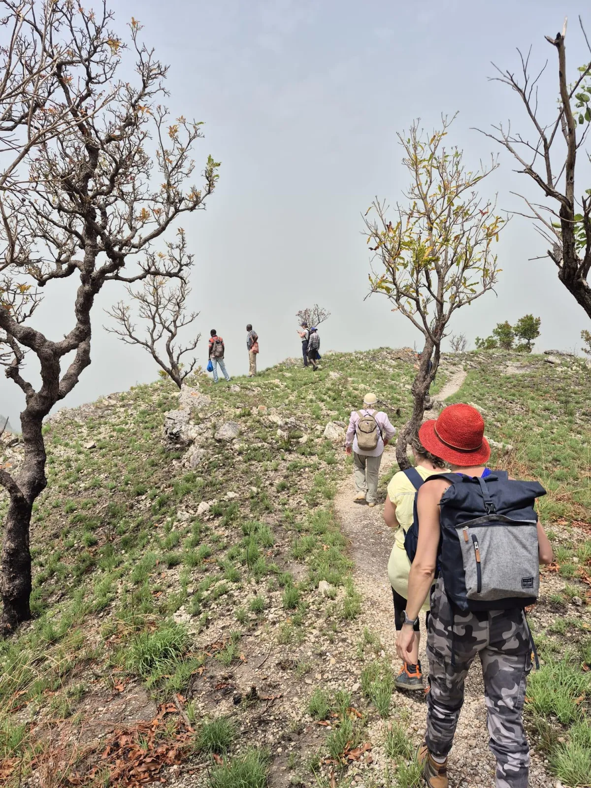 Groupe en randonnée vers une cascade