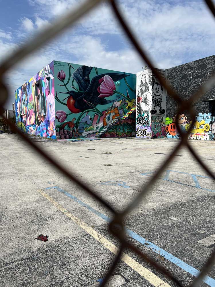 Miami graffiti bumblebee 