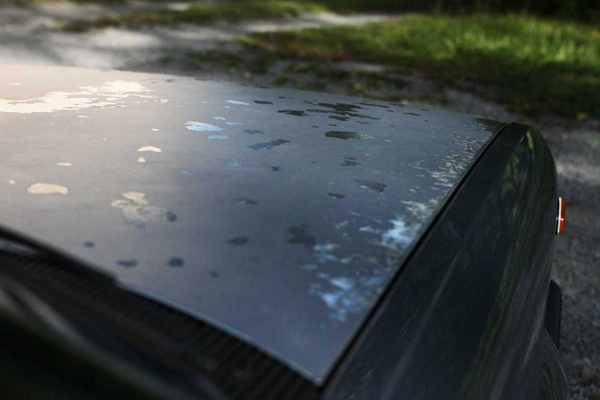 the engine hood on a fiat argenta