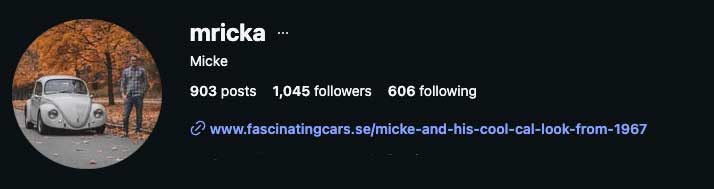 Mricka cal look Beetle instagram