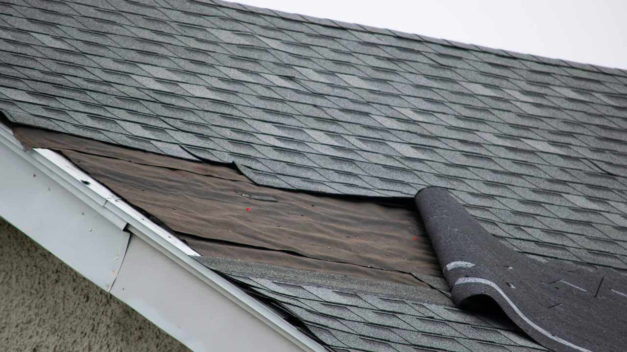 Top 7 Signs Your Roof Needs Immediate Attention