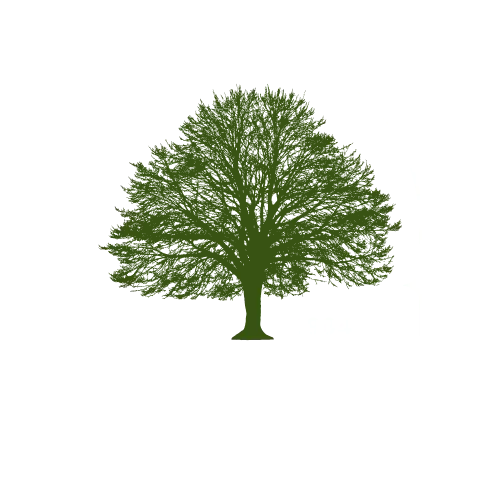 H&L Tree Service Logo